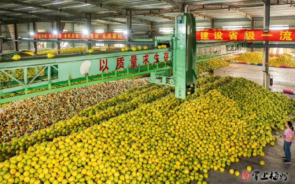 农文旅融合发展